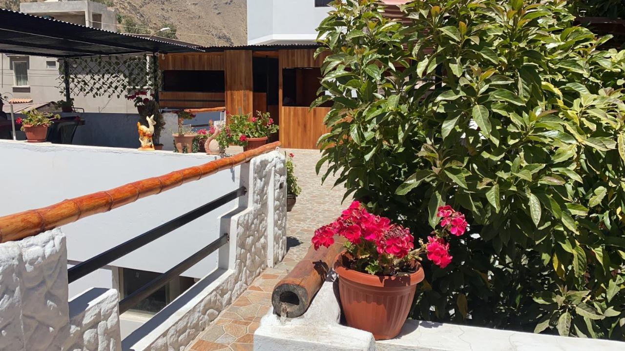 Las Palmeras Eco Hostel Cabanaconde Exterior foto